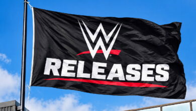Ten WWE & WWE NXT Releases Confirmed Ten WWE & WWE NXT Releases Confirmed