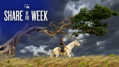 Share of the Week: Trees – PlayStation.Blog Share of the Week: Trees – PlayStation.Blog