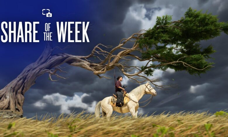 Share of the Week: Trees – PlayStation.Blog Share of the Week: Trees – PlayStation.Blog