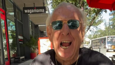 Ric Flair Hospitalized After Suffering Fall In Florida