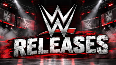 Concerns Among Main Roster Stars After Recent WWE Releases Concerns Among Main Roster Stars After Recent WWE Releases