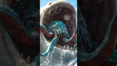 The Bloop “Mega Leviathan” in Subnautica 2 + Scorpius Trenches Next Update Preview! The Bloop “Mega Leviathan” in Subnautica 2 + Scorpius Trenches Next Update Preview!
