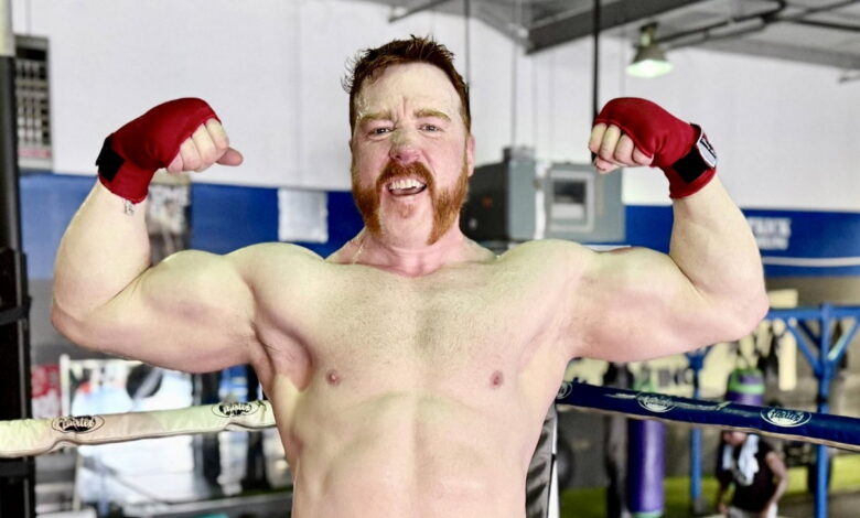 More Backstage News On Sheamus Possibly Joining AEW More Backstage News On Sheamus Possibly Joining AEW