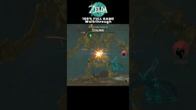 #20 Short – Zelda: Tears of the Kingdom – 100% FULL GAME Walkthrough (60FPS | No Commentary) 2
