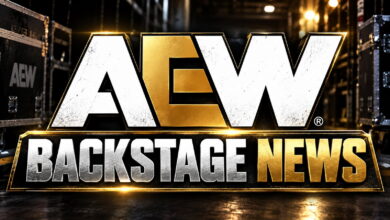 Wrestling Legend Defends AEW WrestleDream Comedy Spot