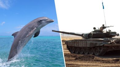 Quarterfinals: Vote for the best RTS unit of all time Quarterfinals: Vote for the best RTS unit of all time