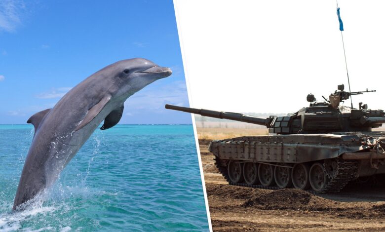 Quarterfinals: Vote for the best RTS unit of all time Quarterfinals: Vote for the best RTS unit of all time