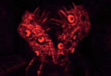 Despite the tragic death of its lead writer, one of the scariest games I have ever played will finally come out later this month