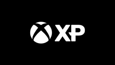 Introducing XP – XBOX Wire Introducing XP – XBOX Wire