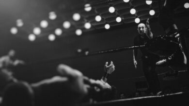 Why Personality Matters as Much as Performance in Modern Sports Entertainment Why Personality Matters as Much as Performance in Modern Sports Entertainment